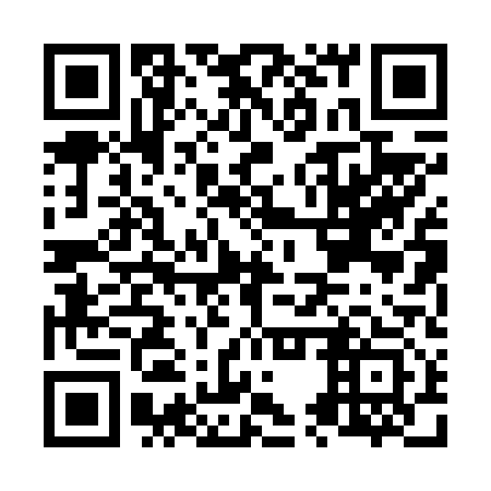 QR code for plate N5P 613