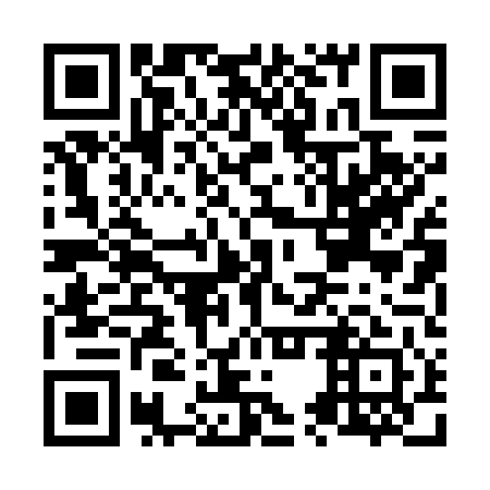 QR code for plate N5P 741