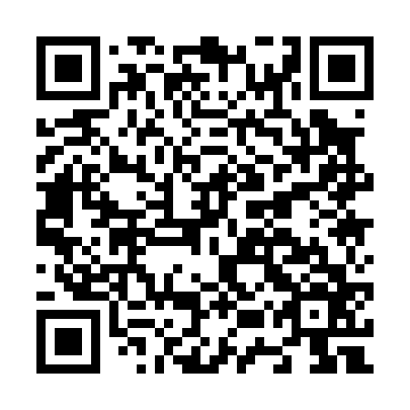 QR code for N5Q 066
