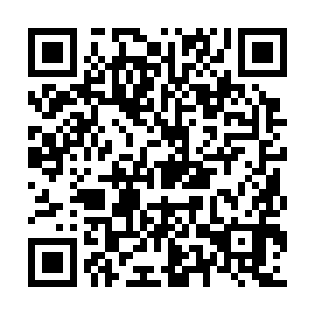 QR code for N5Q 390