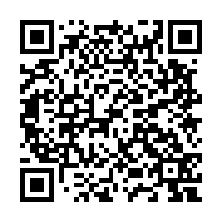QR code for N5Q 533