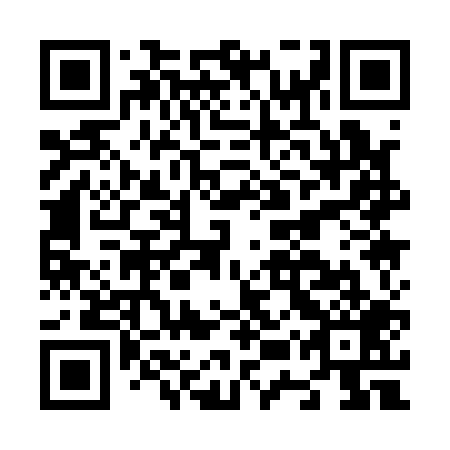 QR code for plate N5Q 109