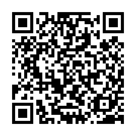 QR code for N5Q401