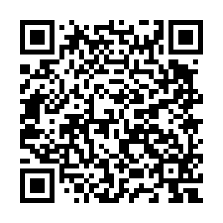 QR code for N5Q496