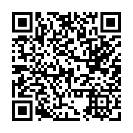 QR code for plate N5Q 923