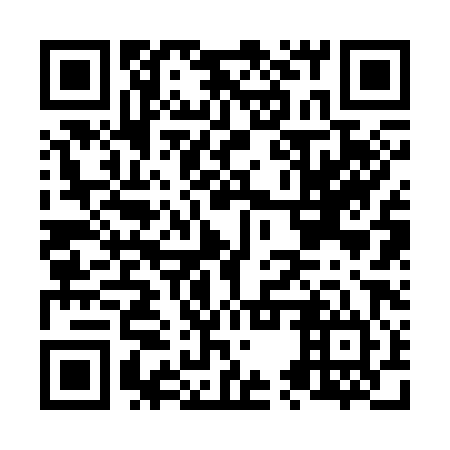 QR code for N5R 384