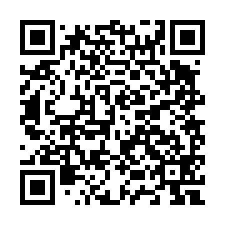 QR code for N5R 499