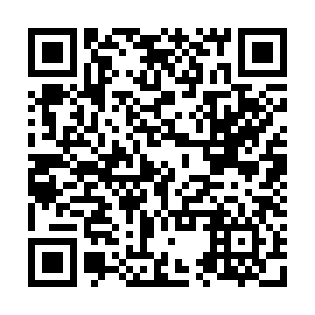 QR code for N5S 386