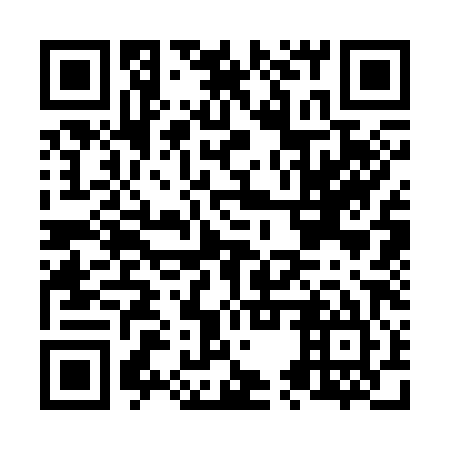QR code for N5S385