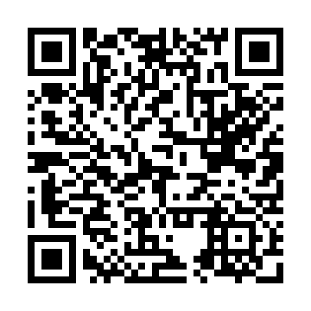 QR code for N5T 333