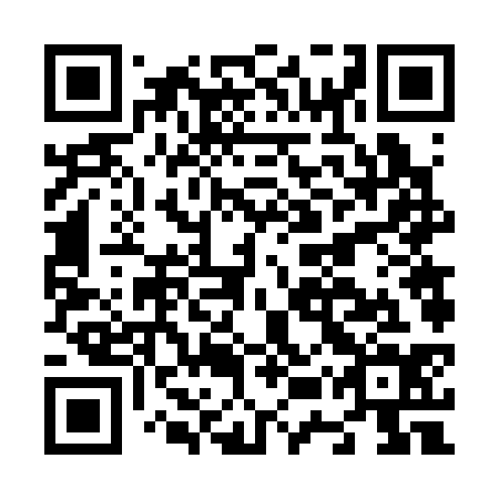 QR code for N5V334