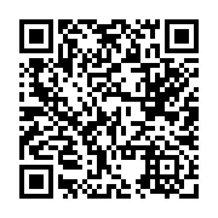 QR code for N5W 393