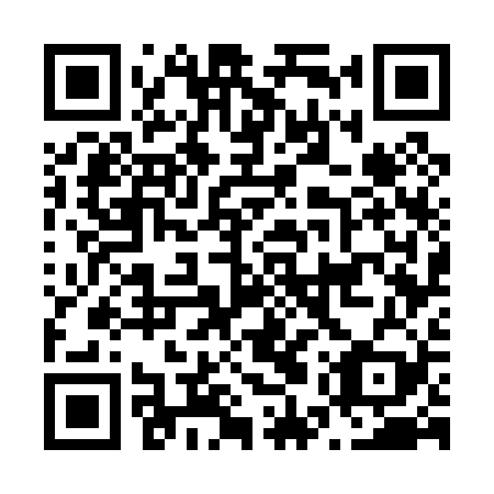 QR code for plate N5W 029