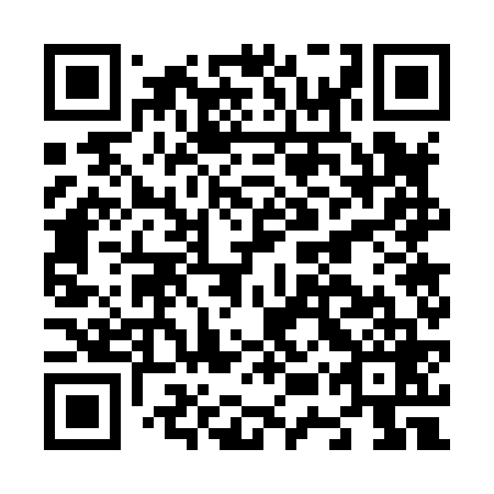 QR code for plate N5W 869