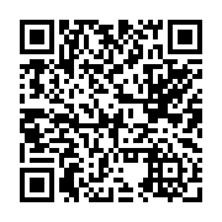 QR code for N5X 294