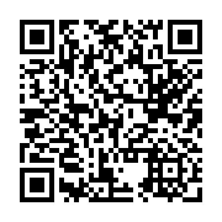 QR code for N5X 339