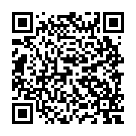 QR code for N5X 397