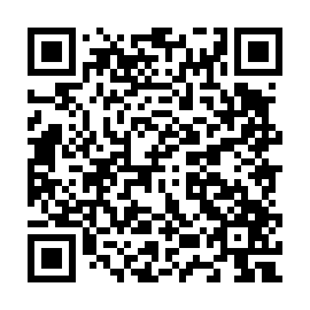 QR code for N5X 447