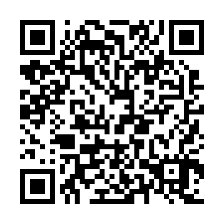 QR code for N5Z 207