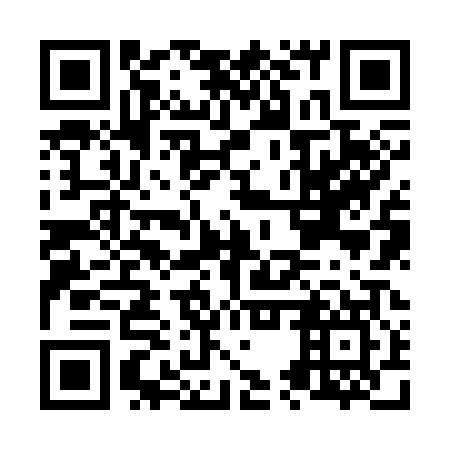 QR code for N5Z 307