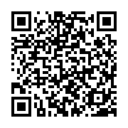 QR code for N5Z331