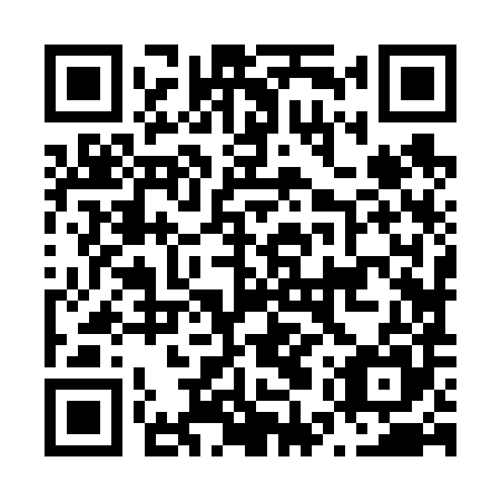 QR code for plate N5Z 685