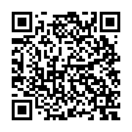 QR code for plate N6B 325