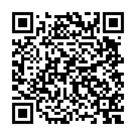 QR code for plate N6B 411