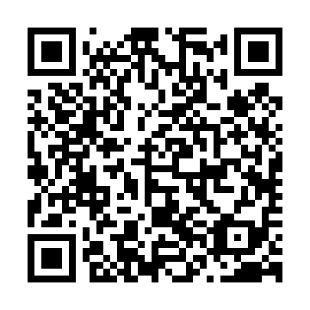 QR code for plate N6B 419