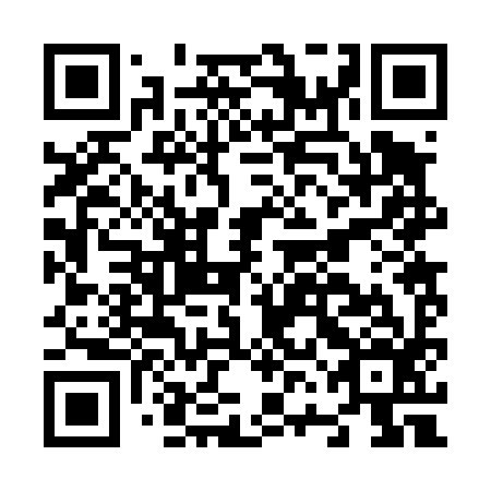 QR code for plate N6B 496