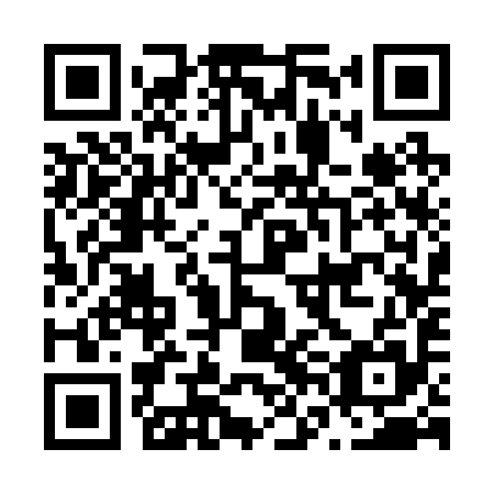 QR code for N6C 295