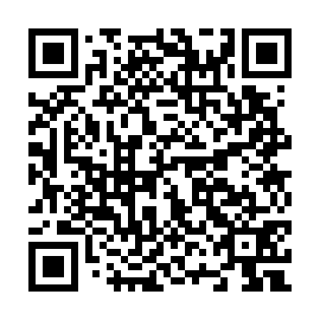 QR code for N6C 771