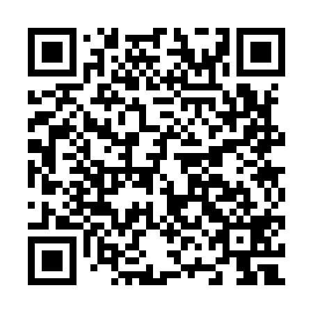 QR code for N6C 919