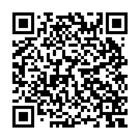 QR code for plate N6C 266