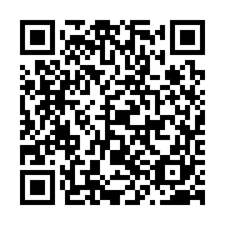 QR code for plate N6C 360