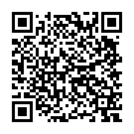 QR code for N6E460