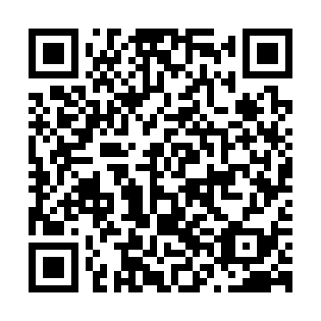 QR code for plate N6G 339