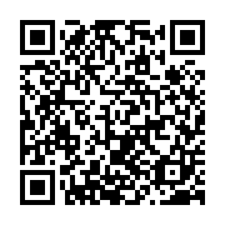 QR code for plate N6G 803