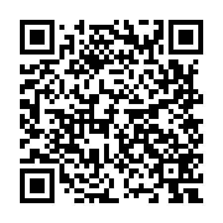 QR code for plate N6G 959