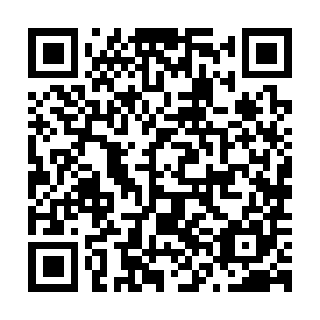 QR code for plate N6H 385