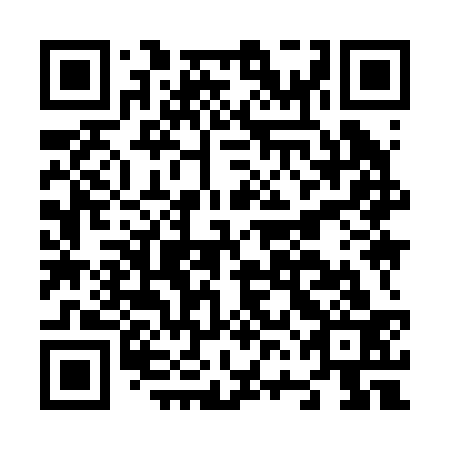 QR code for N6I 233