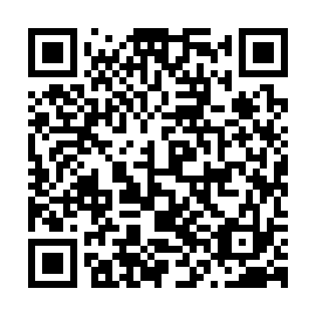 QR code for N6I 333
