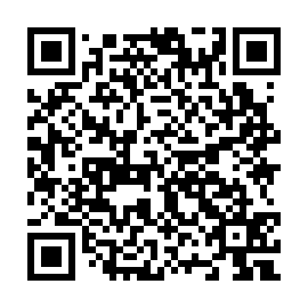 QR code for N6I335