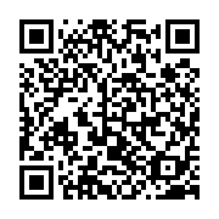 QR code for plate N6I 519