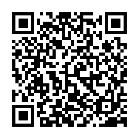 QR code for N6K 313