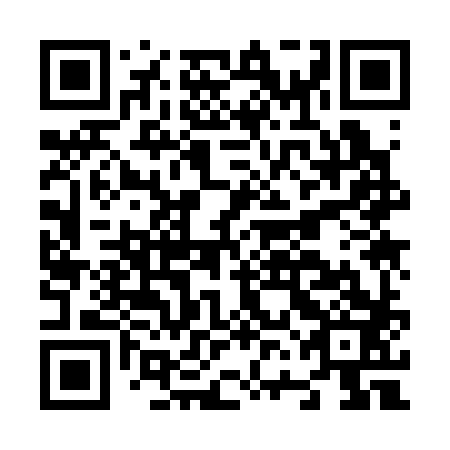QR code for N6K 383