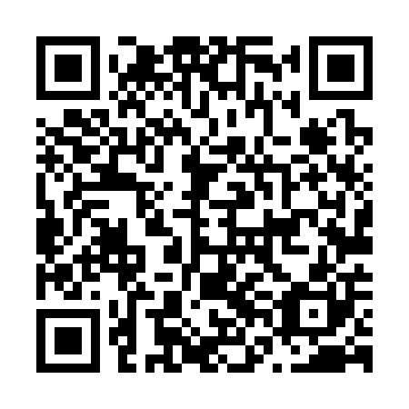 QR code for N6L 300