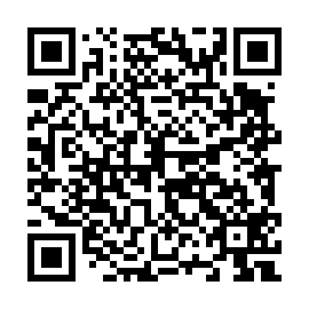 QR code for N6L 419