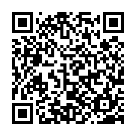 QR code for N6L 534