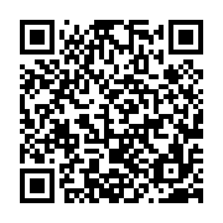 QR code for plate N6L 016
